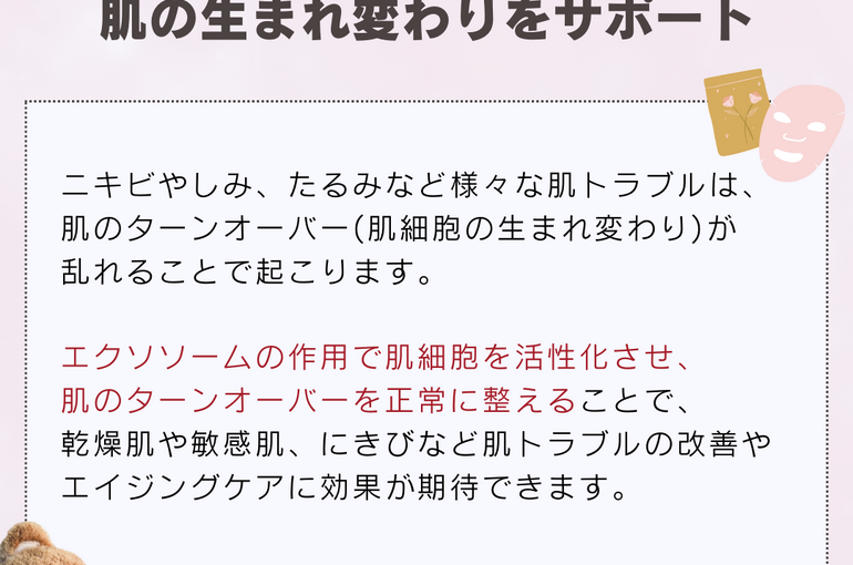 ブログ}