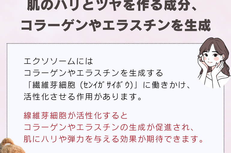 ブログ}