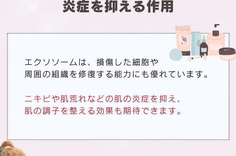 ブログ}
