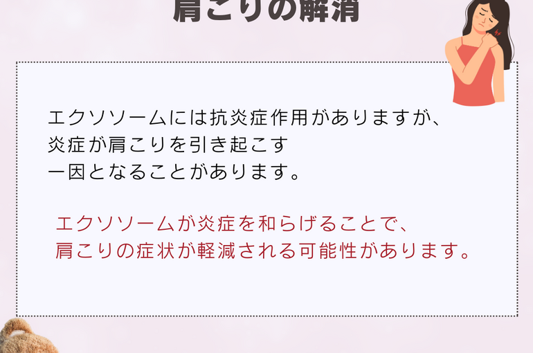 ブログ}